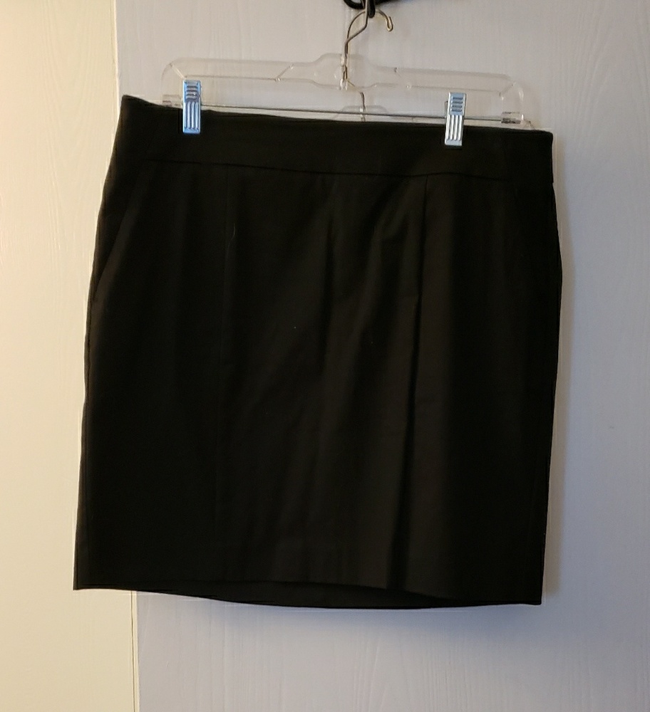 Ann Taylor Madison Skirt